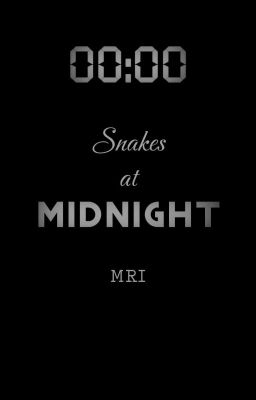 Snakes At Midnight
