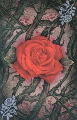 Solji - EXID | Rose Of Vampires