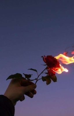 [SovChiSov] Thiêu thân và lửa.