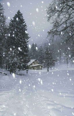 [SovChiSov]: Tuyết.