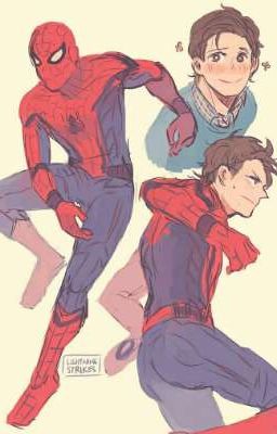 Spiderman và Avenger