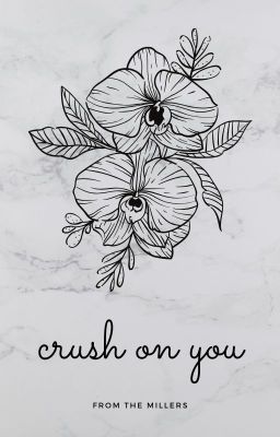 Stray Kids | Crush on you