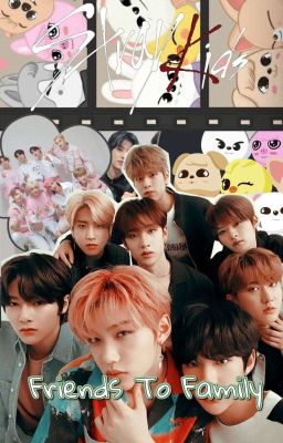 |Stray Kids|~Friends To Family~