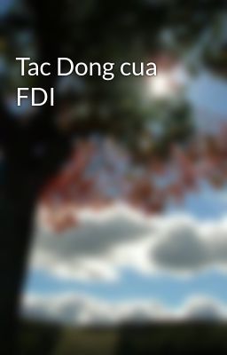 Tac Dong cua FDI