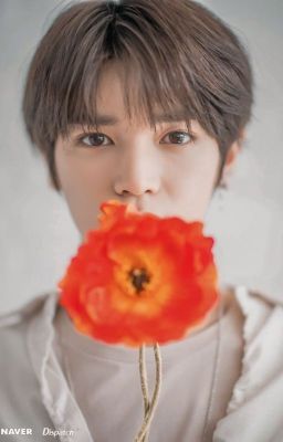 | TaeGi | 「 flowers bloom 」