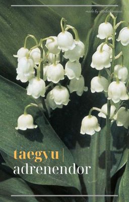taegyu| adrenendor