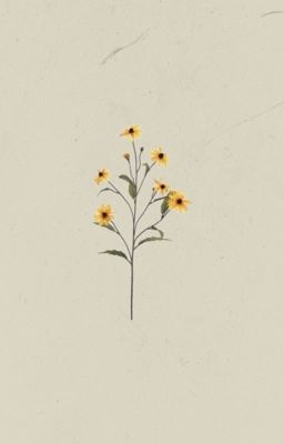 taegyu ; sunflower