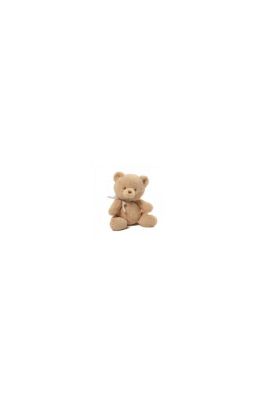 teddy bear - knowlix