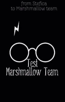 Test for Marshmallow Team