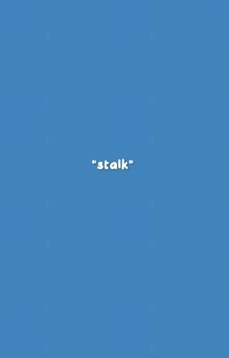 [ textfic ] nomin | stalk