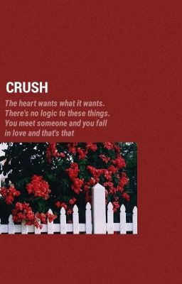 |textin'|  crush - jjk + you
