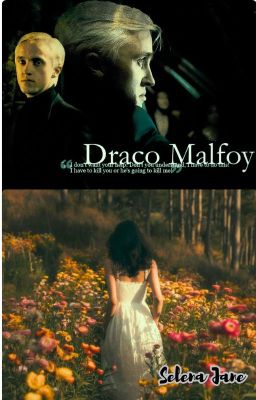 Thế giới không thuộc về ( Draco Malfoy x you )