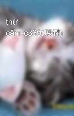 thứ cẩm-c339(庶锦)
