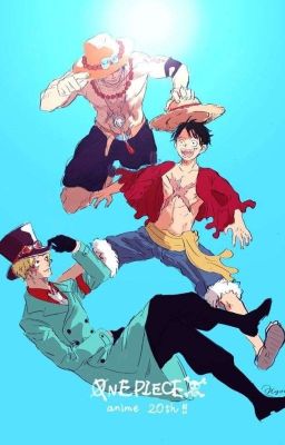 Tổng hợp đồng nhân One Piece
