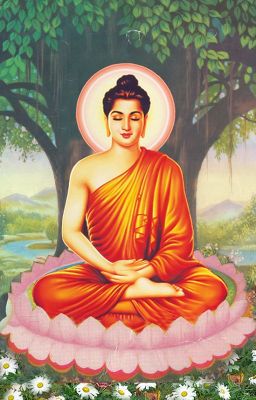 Tổng hợp Kinh Phật - HT Thích Nhất Hạnh