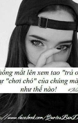 Tổng Hợp Quotes Hay