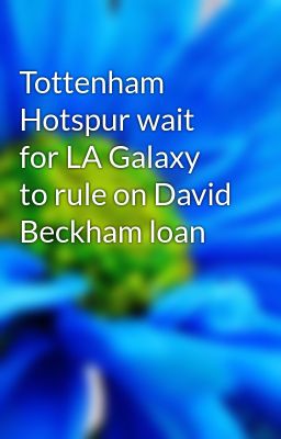 Tottenham Hotspur wait for LA Galaxy to rule on David Beckham loan