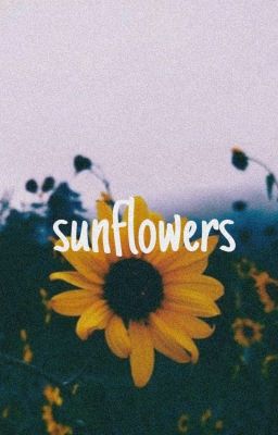[TR] [KisakixDraken] Sunflowers