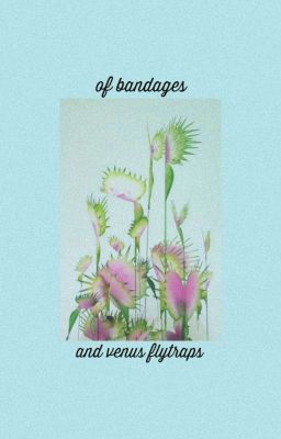 [Trans] [BTS | KookV] Of Bandages And Venus Flytraps ✔