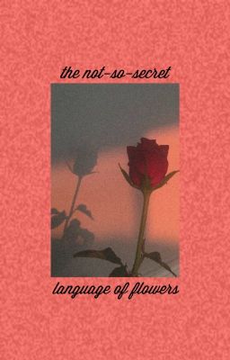 [Trans] [BTS | KookV] The Not-So-Secret Language Of Flowers ✔
