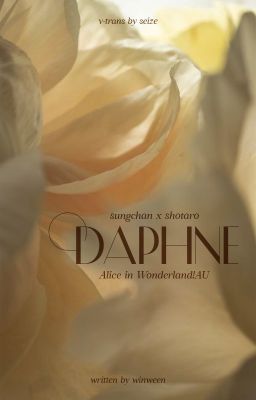 [trans] daphne; sungtaro