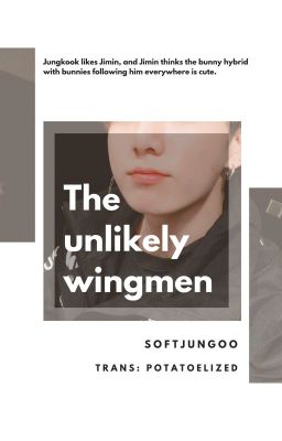 『TRANS | JiKook/KookMin』 The unlikely wingmen