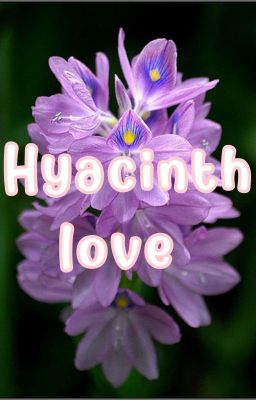[Trans/ SaeisaRin] Hyacinth love 