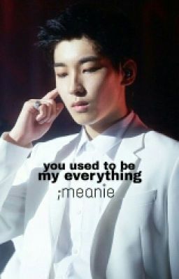 transfic ; meanie | you used to be my everything