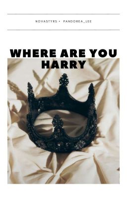 [ TRANSFIC ] WHERE ARE YOU HARRY