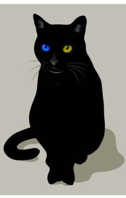 Trở thành mèo đen ở thế giới khác