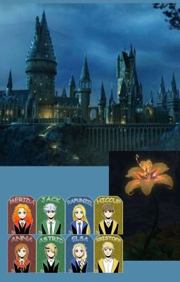 Trường Phù thủy và Pháp sư Hogwarts: Cuộc Hành Trình Bắt Đầu.