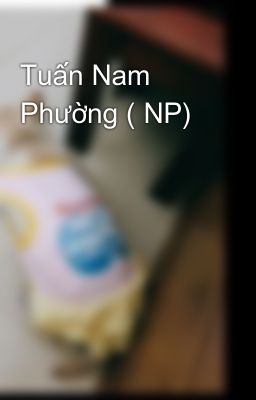 Tuấn Nam Phường ( NP)