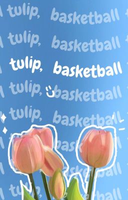 Tulip, bóng rổ