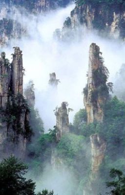 Tuyết Hoa Sơn Trang