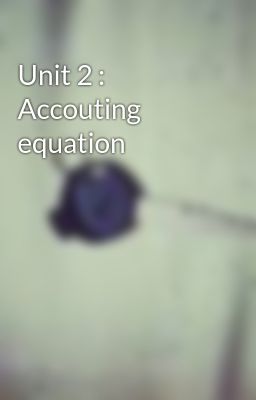 Unit 2 : Accouting equation