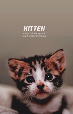 [v-trans] kitten - m.y.g x p.j.m