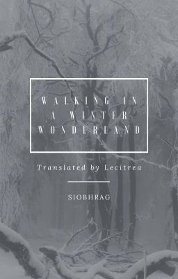 v-trans | snarry | walking in a winter wonderland
