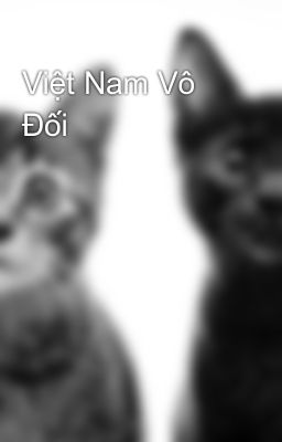 Việt Nam Vô Đối