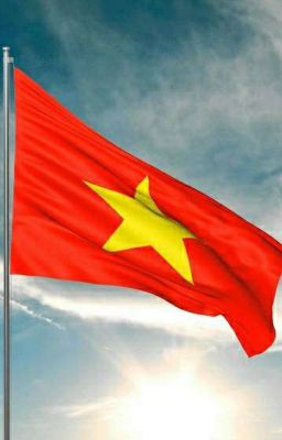 Việt Vệ Đoàn Tuyển Ký