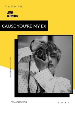 |vmin| text • cause you're my ex ✓