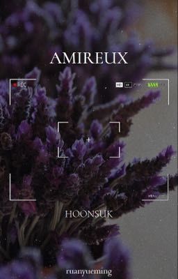 Vol. 4 | Amireux