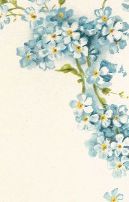 VOPE: Forget-Me-Not