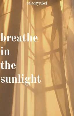 [vtrans] breathe in the sunlight