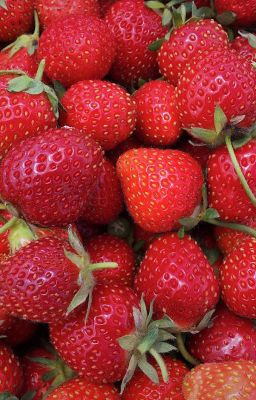 [Vtrans] Strawberry | taejin