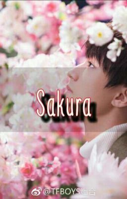 [Vương Tuấn Khải] Sakura