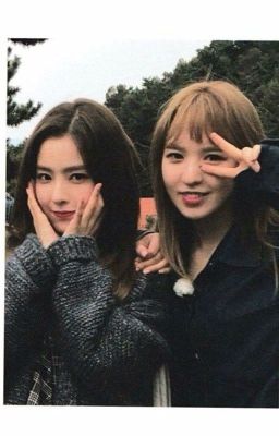 [WenRene] Series About These Guys🐹🐰