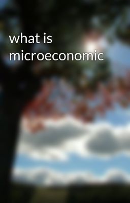 what is microeconomic