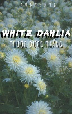 WHITE DAHLIA