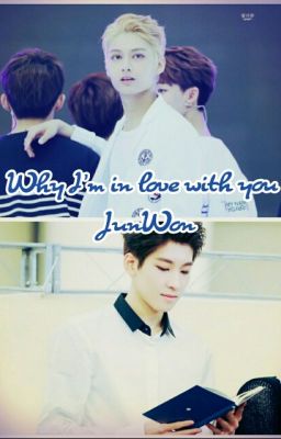 Why I'm in love with you? [Oneshot | JunWon]