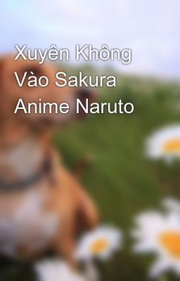 Xuyên Không Vào Sakura Anime Naruto